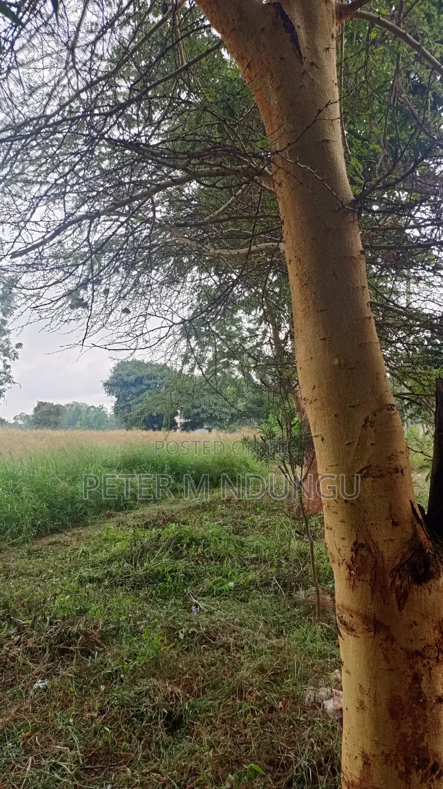 Kiambu Road Kasarini-Prime Five Acres, Flat Land Ideal for Townhouses in Thindigua/Kasarini