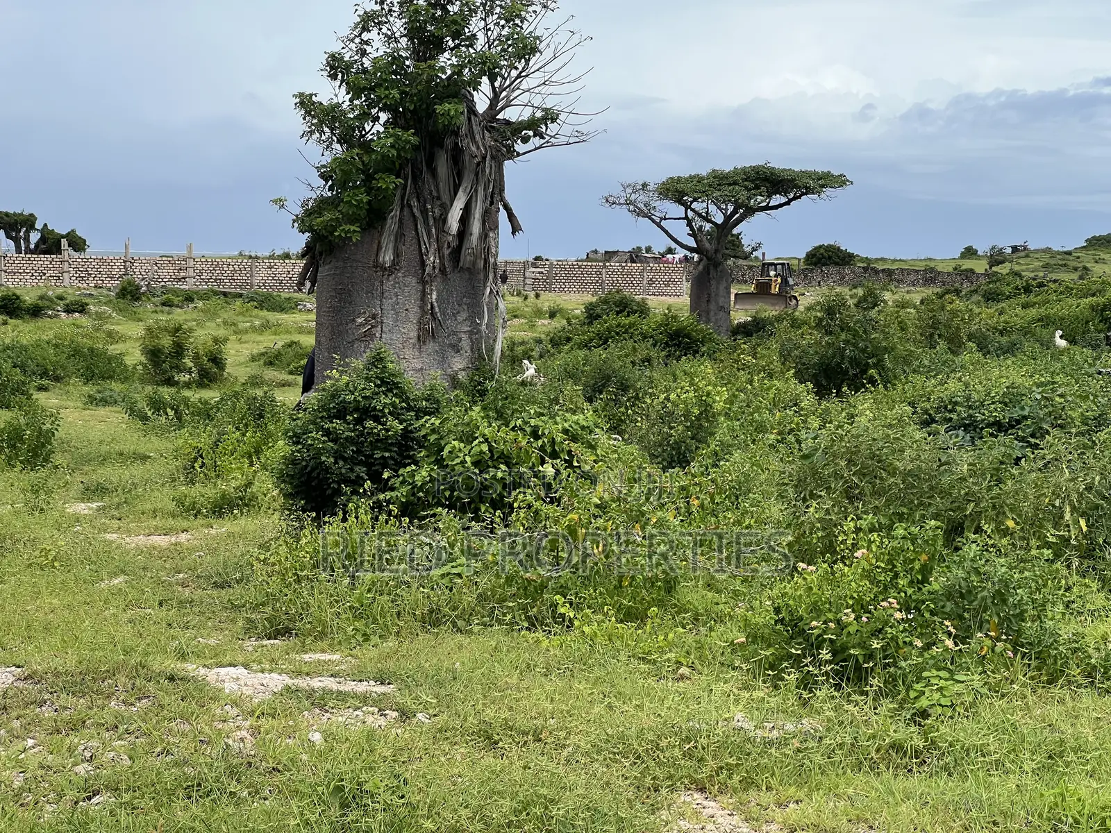 2 Acres Beach Front in Malindi, Kilifi for Sale in Malindi