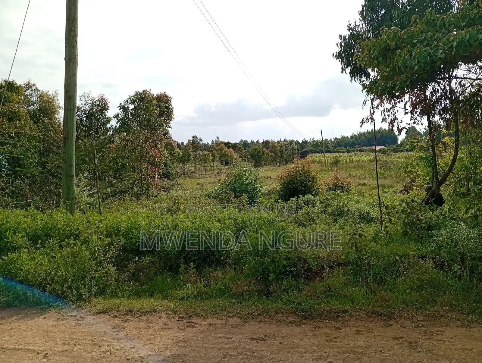 Land for Sale in Limuru in Ndeiya