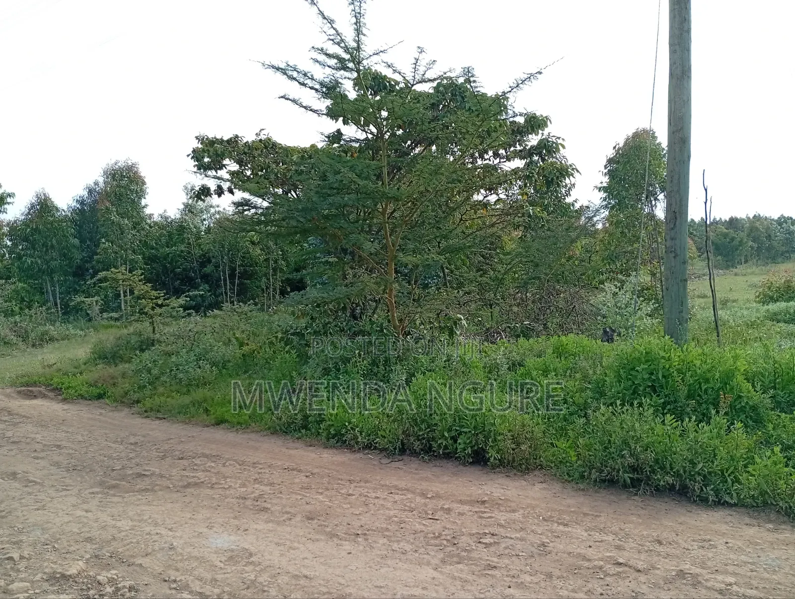 Land for Sale in Limuru in Ndeiya