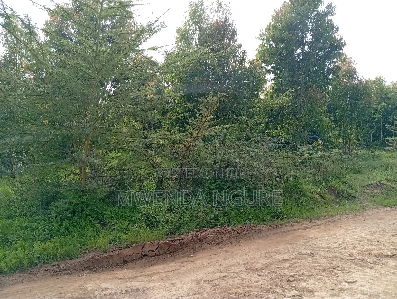 Land for Sale in Limuru in Ndeiya