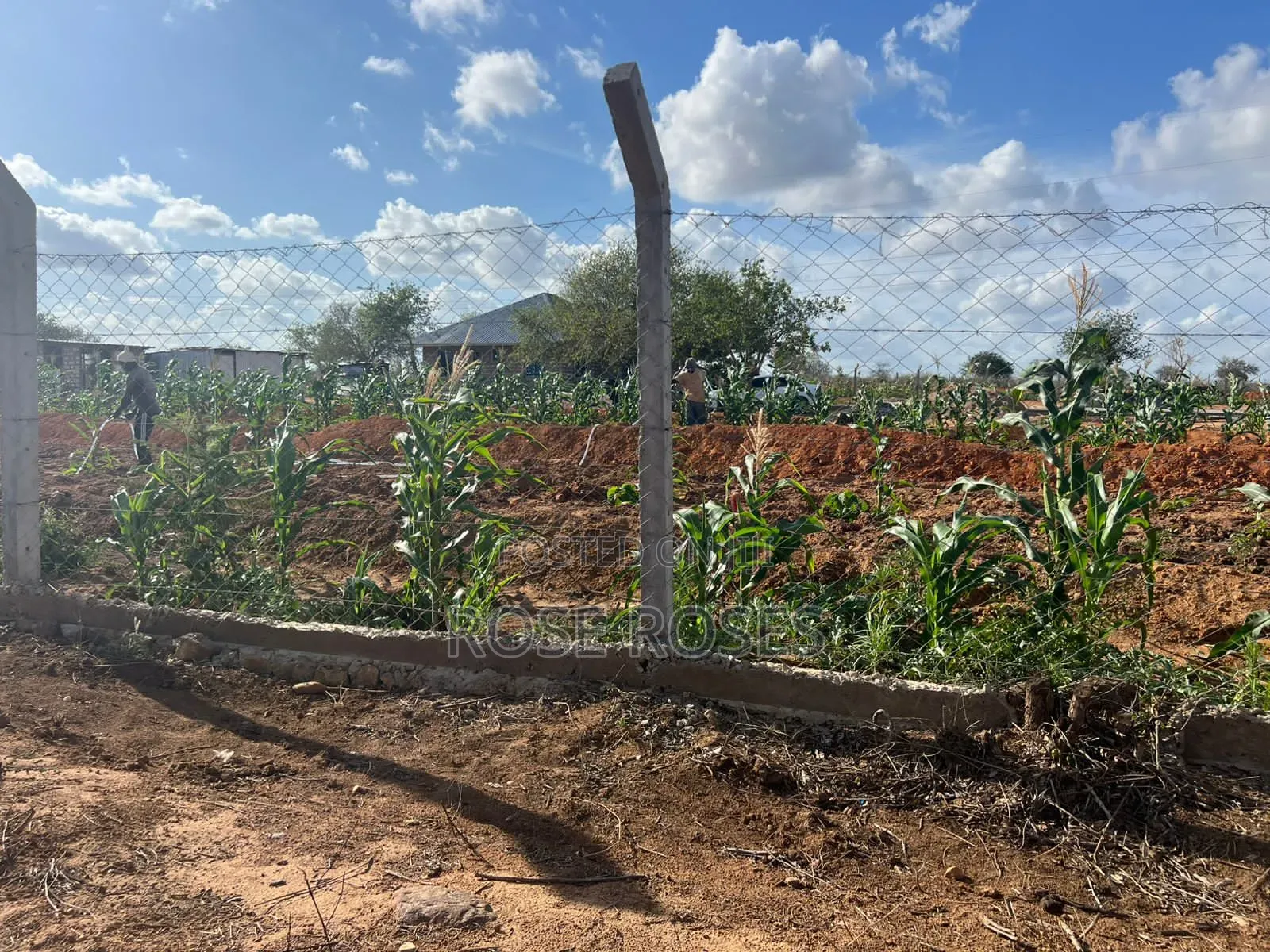 Plots for Sale in Malindi in Jilore