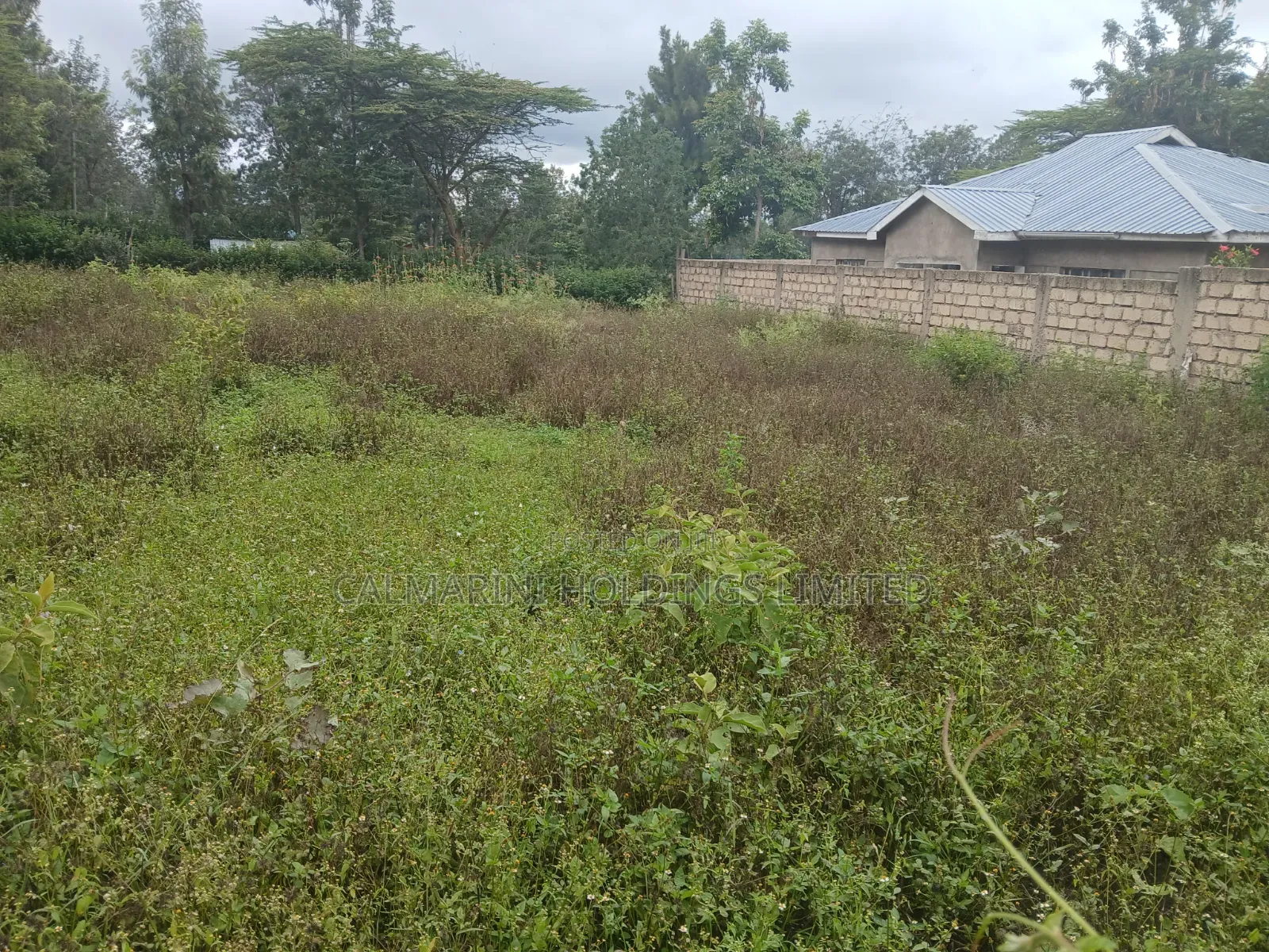 Distressed Quick Sale! Prime 1/8 Acre Plot Off Kunde Rd Kiserian in Kiserian