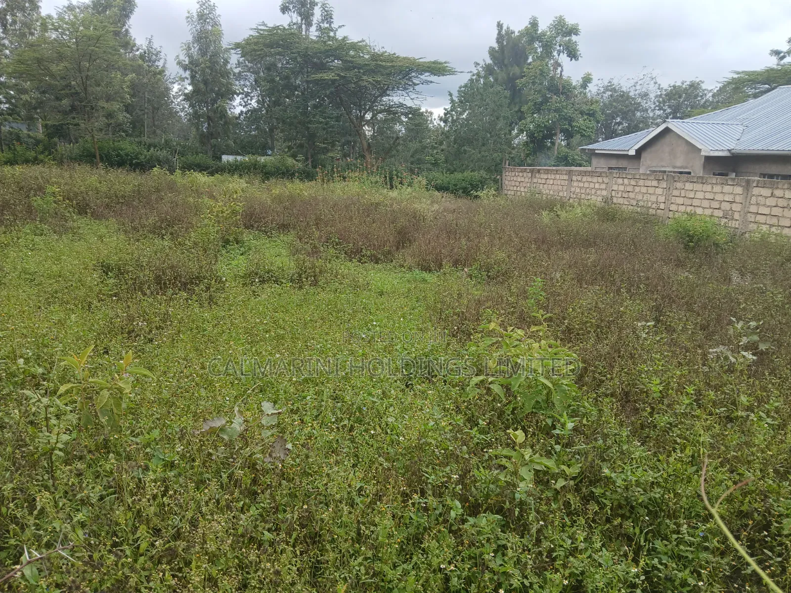 Distressed Quick Sale! Prime 1/8 Acre Plot Off Kunde Rd Kiserian in Kiserian