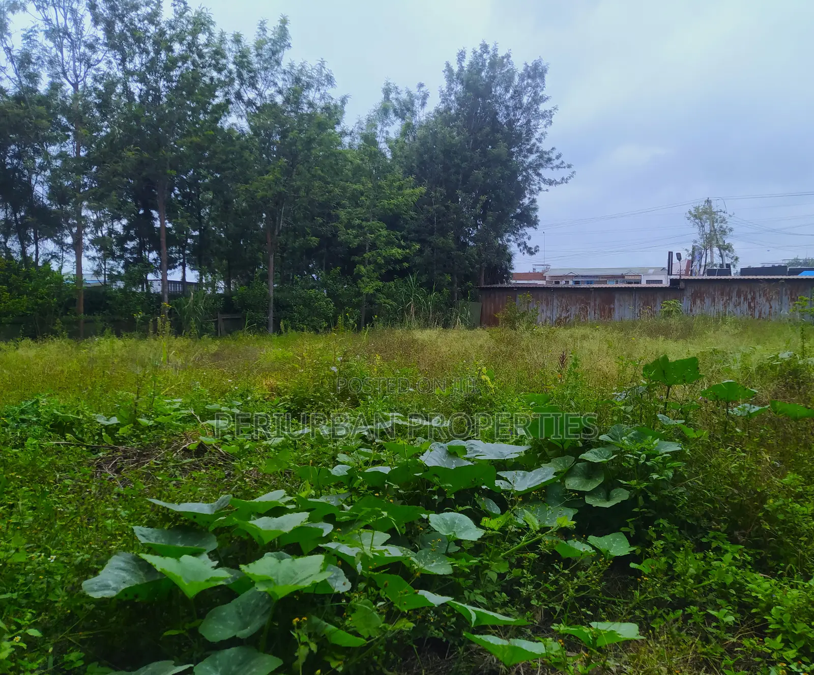 Prime 1/4 Acre Plot of Land in the Grown Rimpa Town!! in Rimpa