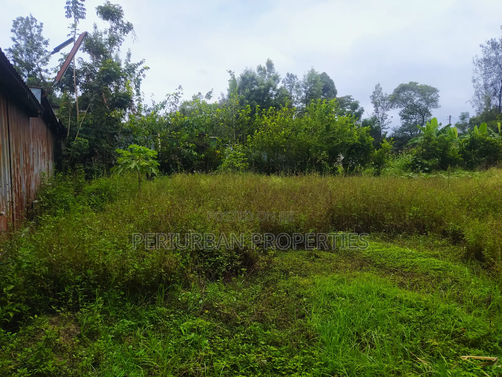 Prime 1/4 Acre Plot of Land in the Grown Rimpa Town!! in Rimpa