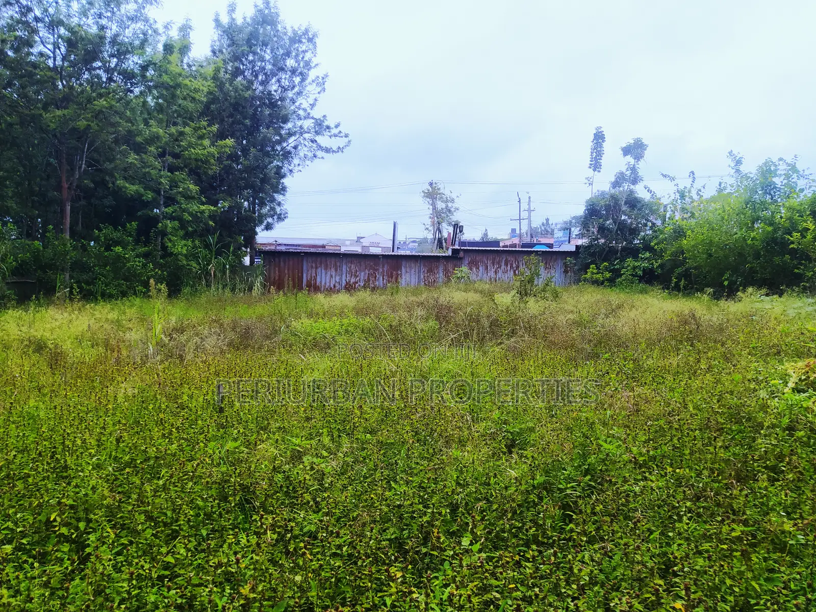 Prime 1/4 Acre Plot of Land in the Grown Rimpa Town!! in Rimpa
