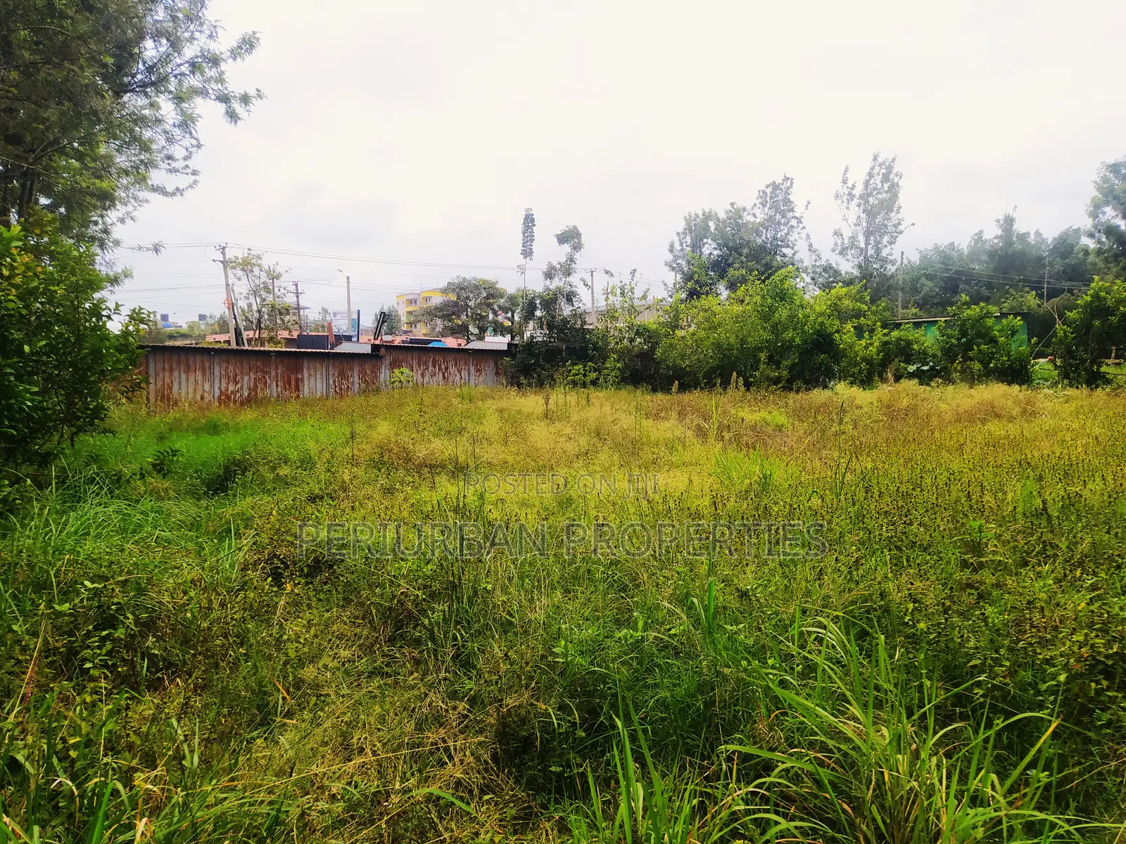 Prime 1/4 Acre Plot of Land in the Grown Rimpa Town!! in Rimpa