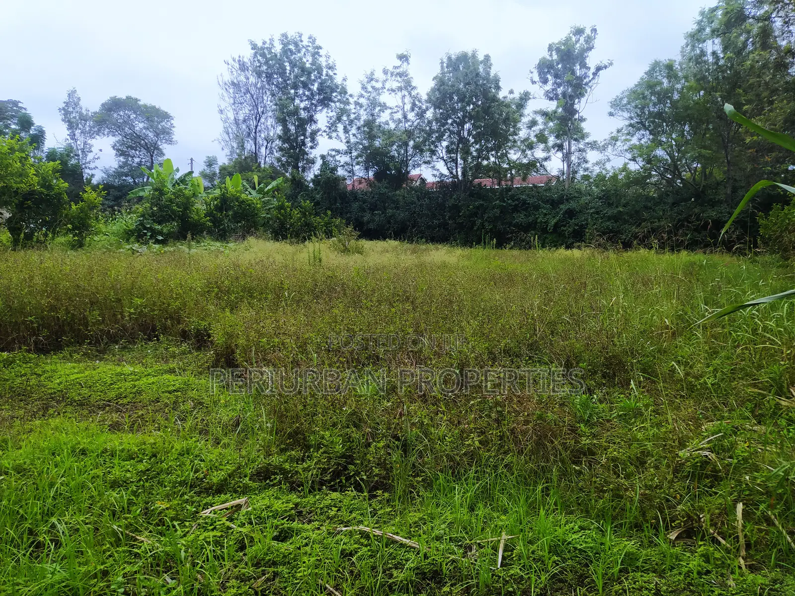 Prime 1/4 Acre Plot of Land in the Grown Rimpa Town!! in Rimpa