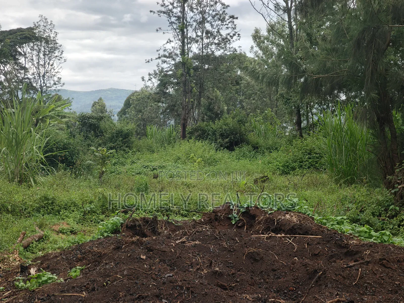 Large Eighth Acre Plot (67*100) for Sale in Ngong, Ol Keri. Red Soil in Ol Keri