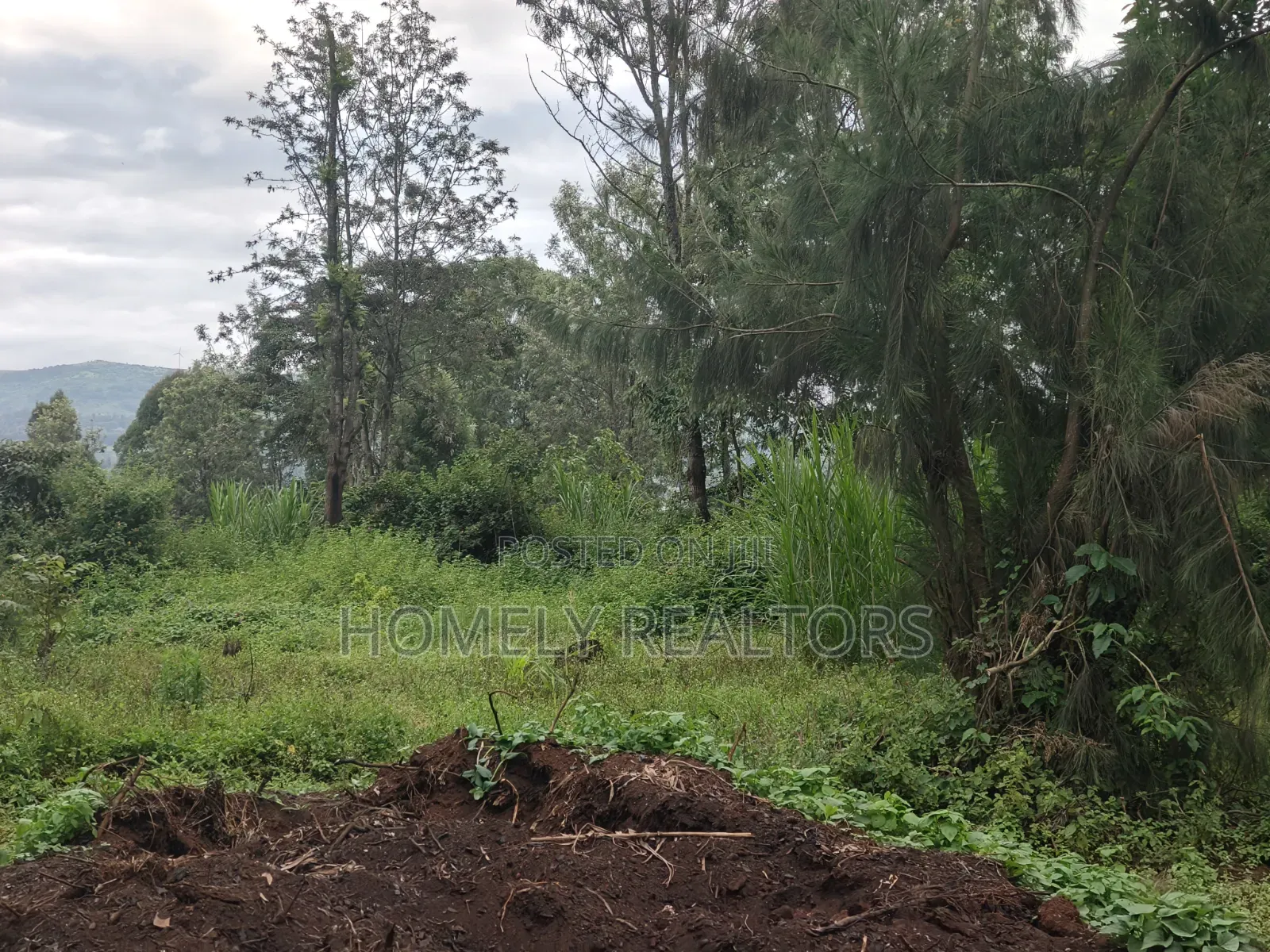 Large Eighth Acre Plot (67*100) for Sale in Ngong, Ol Keri. Red Soil in Ol Keri