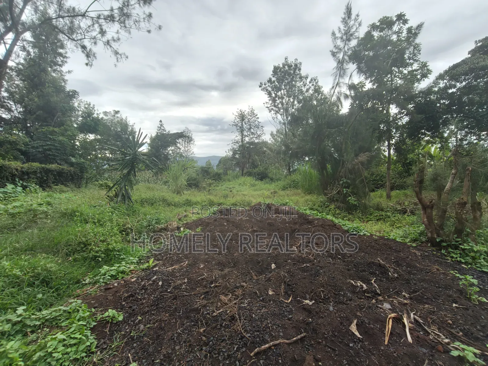 Large Eighth Acre Plot (67*100) for Sale in Ngong, Ol Keri. Red Soil in Ol Keri