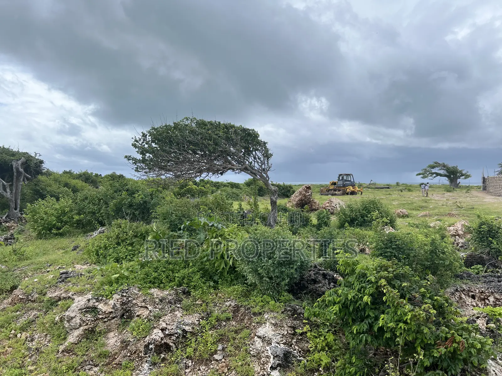 Two 1/2 Acre Beachplots in Malindi Kilifi for Sale in Town Centre