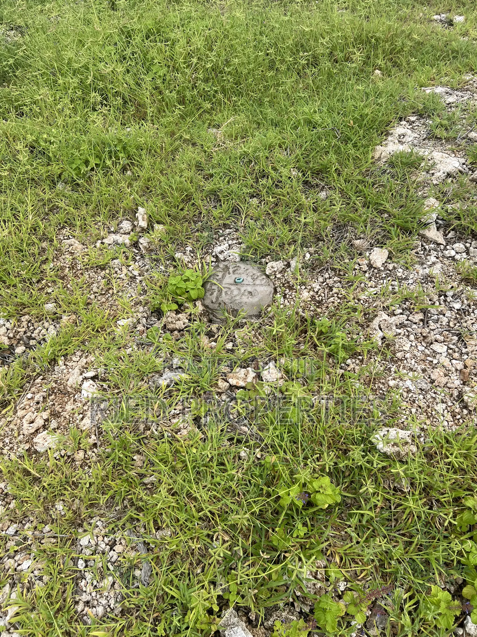 Two 1/2 Acre Beachplots in Malindi Kilifi for Sale in Town Centre
