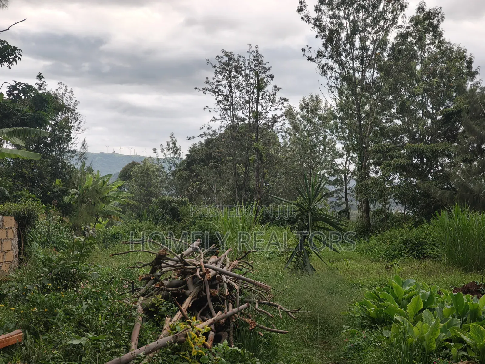 Residential Quarter Acre Plot For Sale In Ngong Ol Keri Near Tarmac in Ol Keri