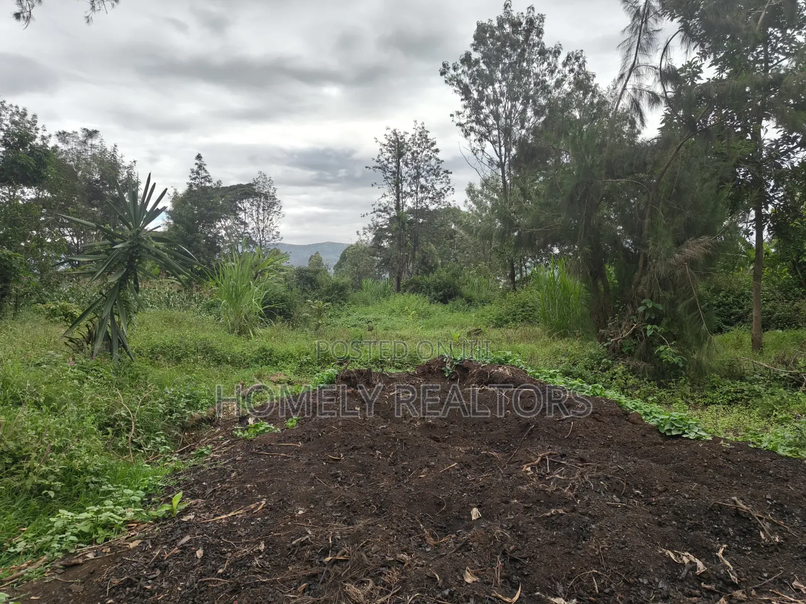 Residential Quarter Acre Plot For Sale In Ngong Ol Keri Near Tarmac in Ol Keri
