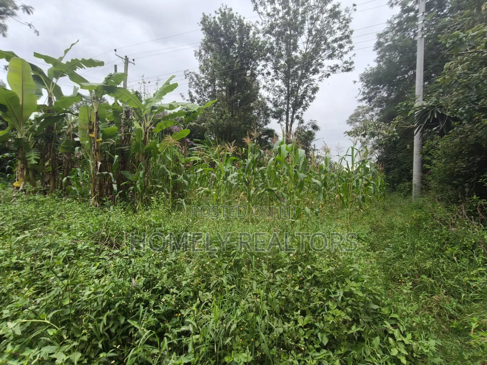 Residential Quarter Acre Plot For Sale In Ngong Ol Keri Near Tarmac in Ol Keri