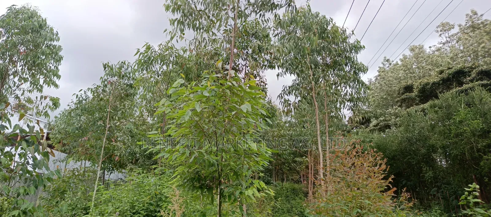Ngong Matasia, Barabara Mpya Plot for Sale in Ngong CBD