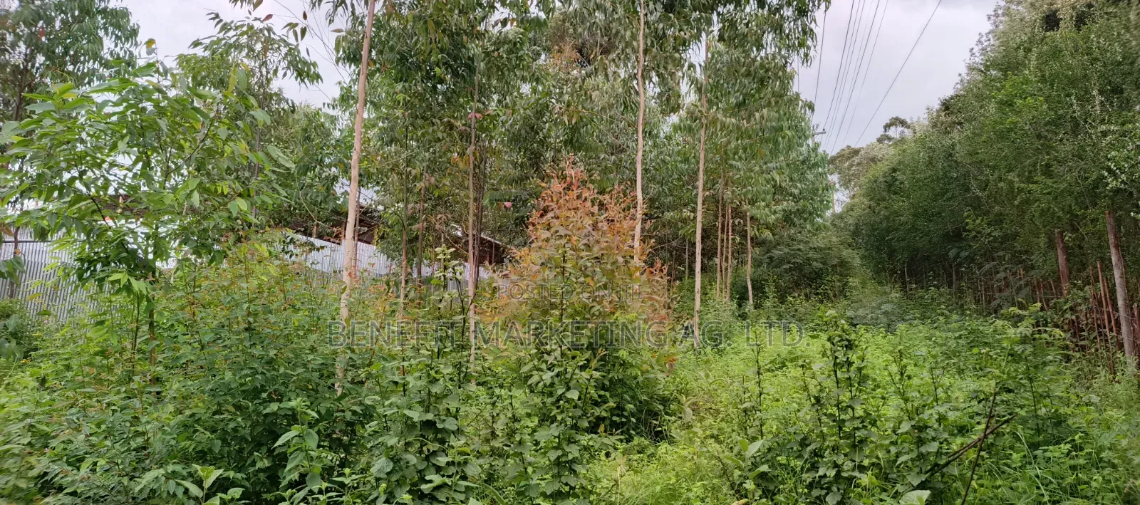Ngong Matasia, Barabara Mpya Plot for Sale in Ngong CBD