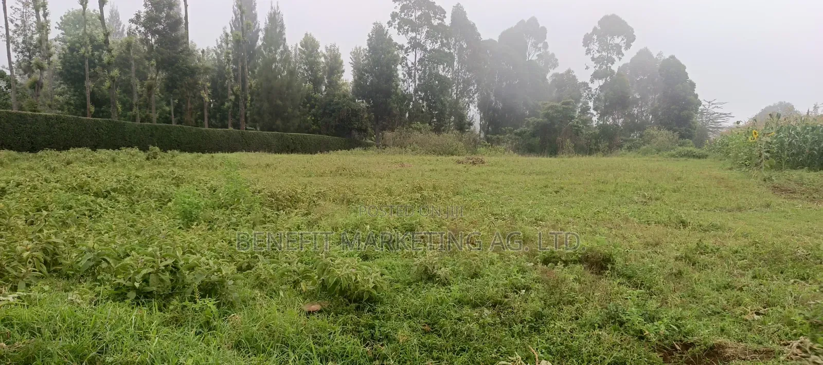 Quarter Acre Plotfor Sale Near Kahara Catholic Church, Ngong in Ngong CBD