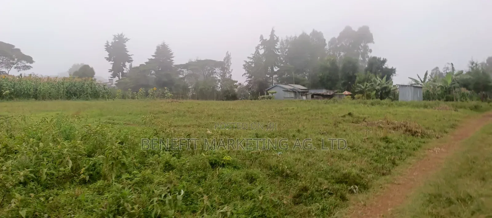 Quarter Acre Plotfor Sale Near Kahara Catholic Church, Ngong in Ngong CBD