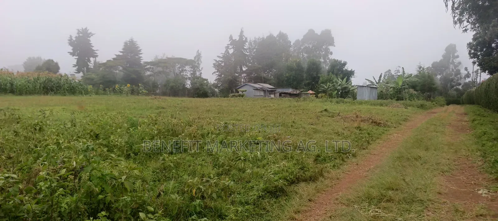 Quarter Acre Plotfor Sale Near Kahara Catholic Church, Ngong in Ngong CBD