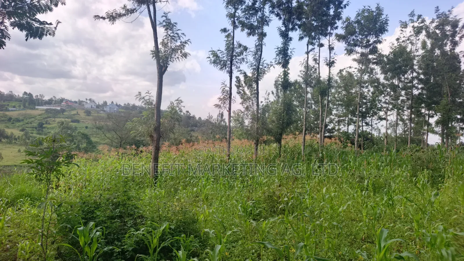 One Acre for Sale in Ngong Merisho Road in Ngong CBD