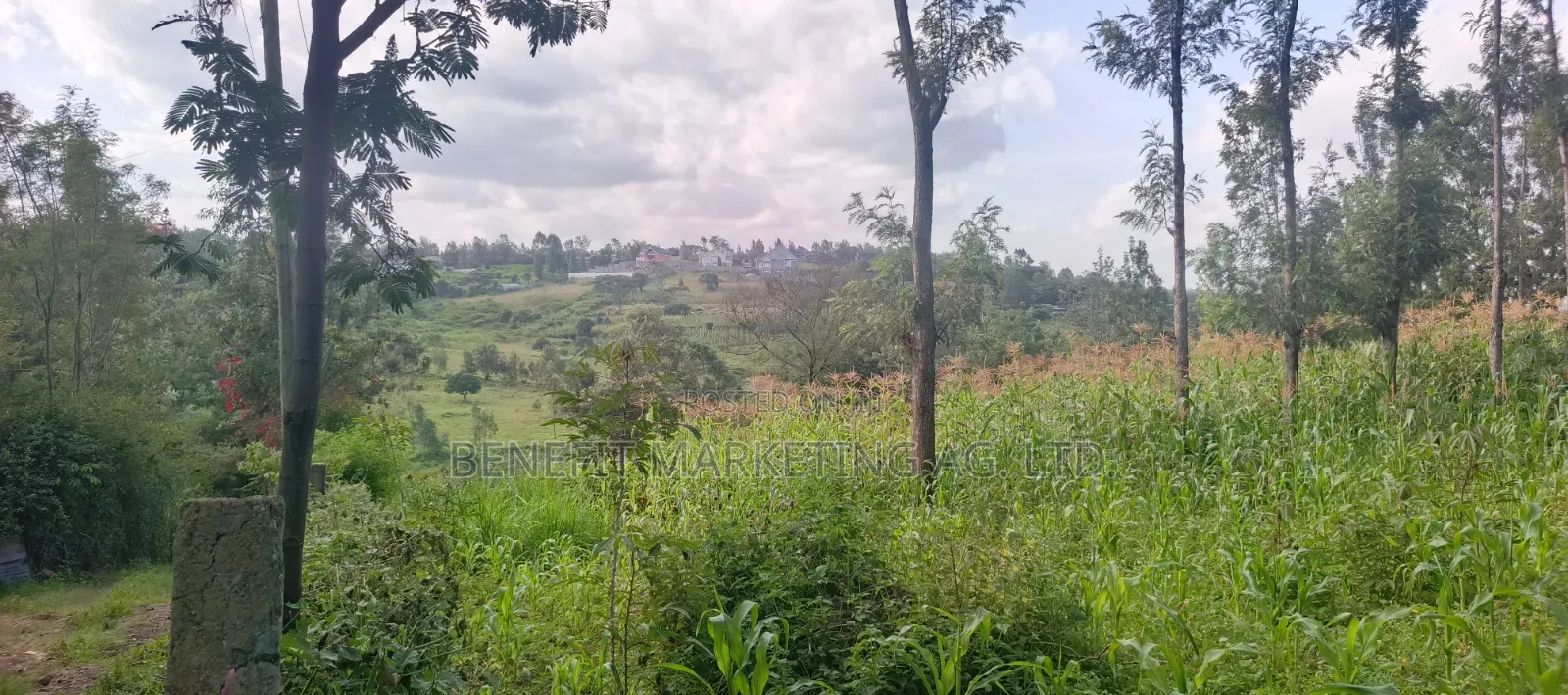 One Acre for Sale in Ngong Merisho Road in Ngong CBD