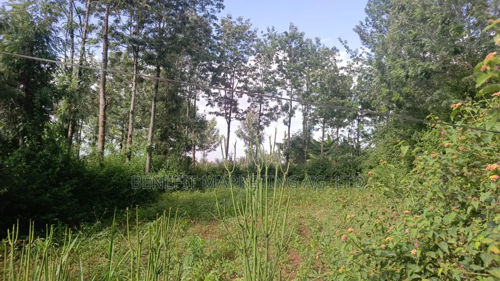 One Acre for Sale in Ngong Merisho Road in Ngong CBD