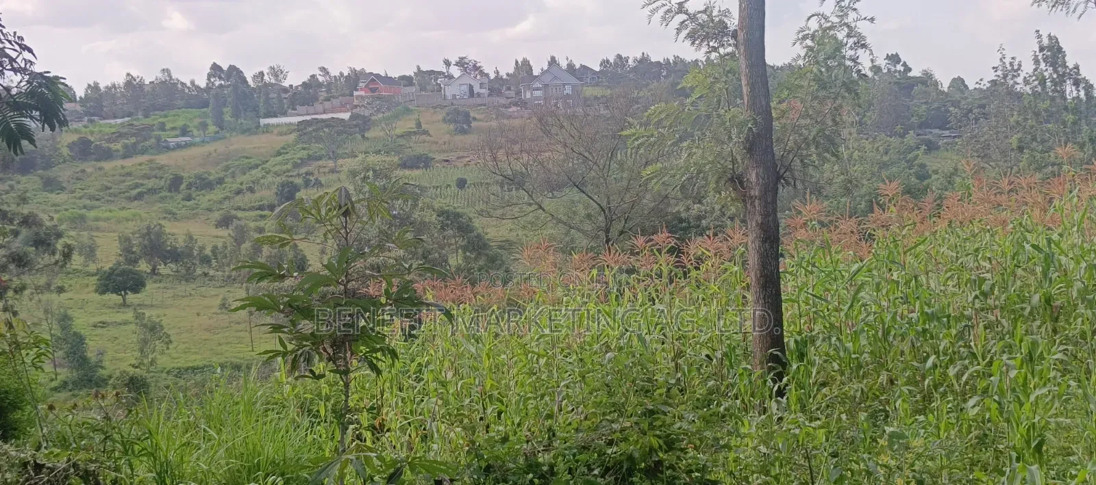 One Acre for Sale in Ngong Merisho Road in Ngong CBD