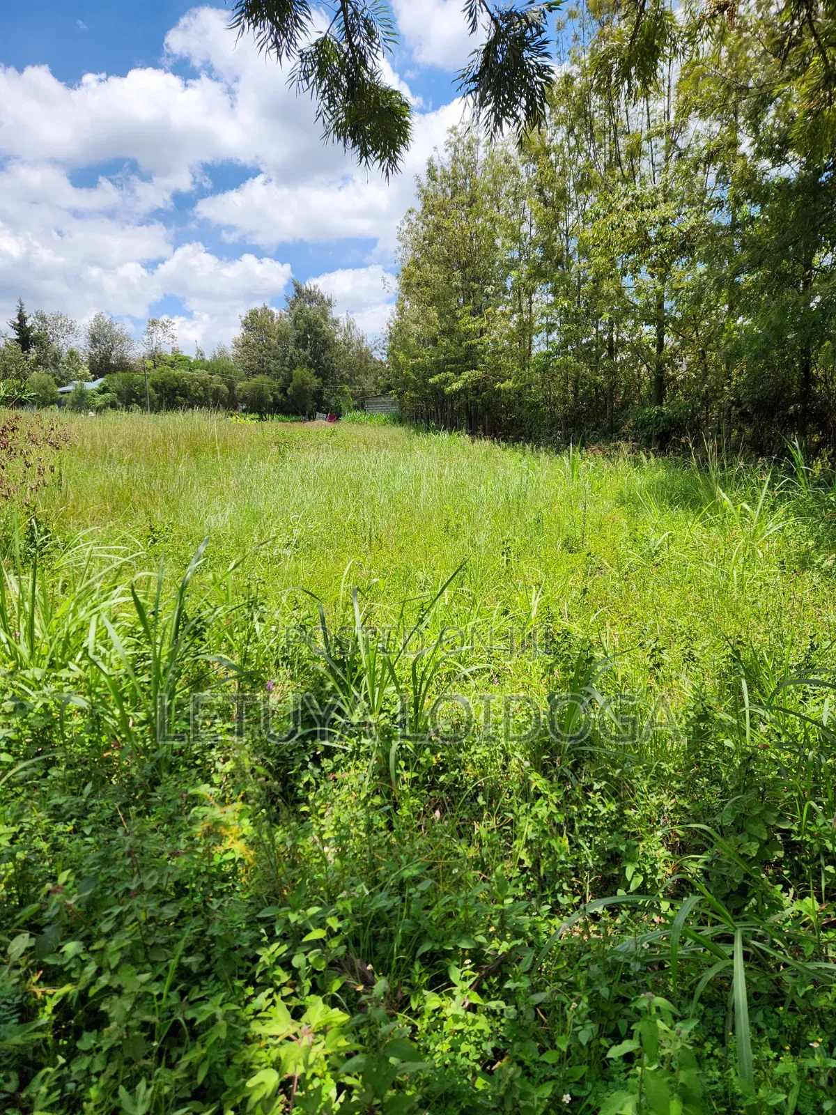 Ngong-Matasia Town 1 and 1⁄4 Acres in Matasia