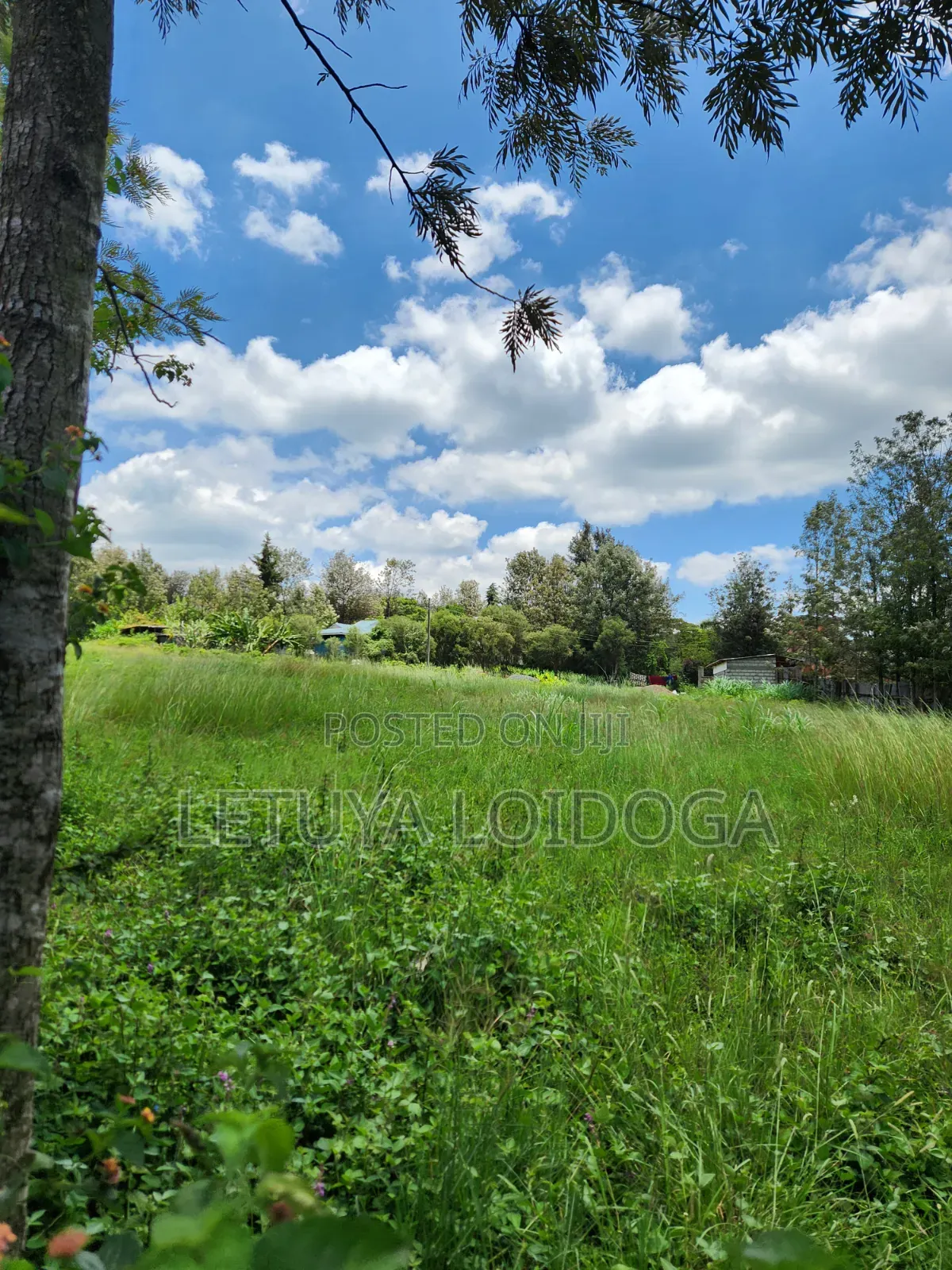Ngong-Matasia Town 1 and 1⁄4 Acres in Matasia