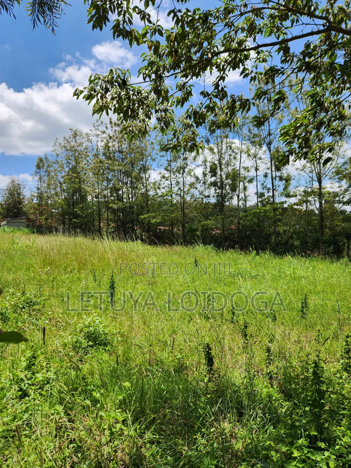 Ngong-Matasia Town 1 and 1⁄4 Acres in Matasia