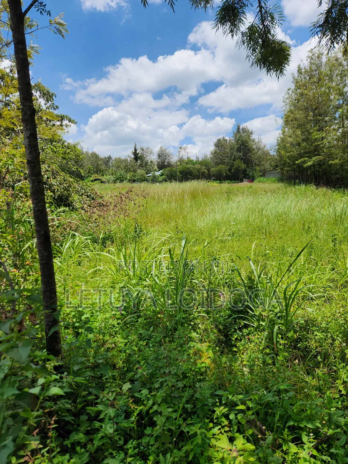 Ngong-Matasia Town 1 and 1⁄4 Acres in Matasia