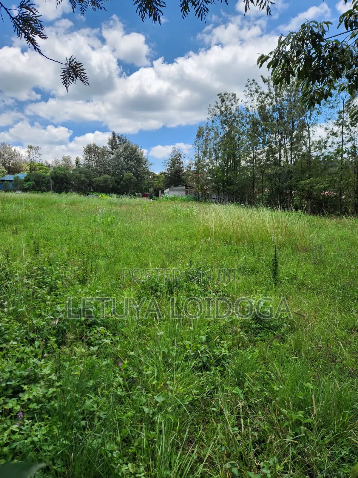 Ngong-Matasia Town 1 and 1⁄4 Acres in Matasia