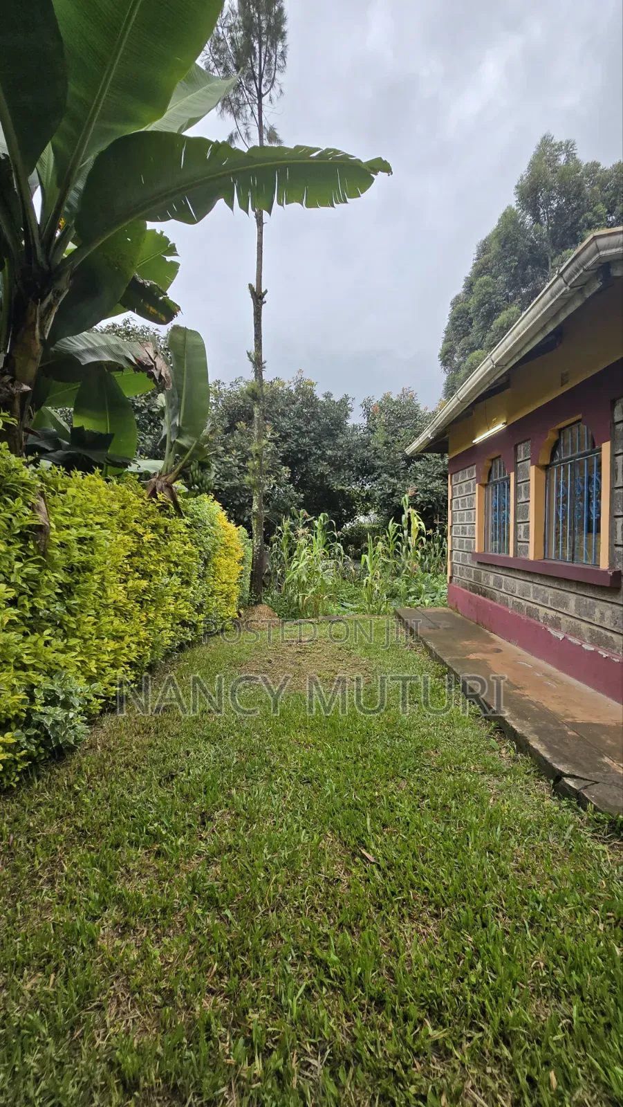 3bdrm Bungalow in Kasphat, Banana for rent in Banana