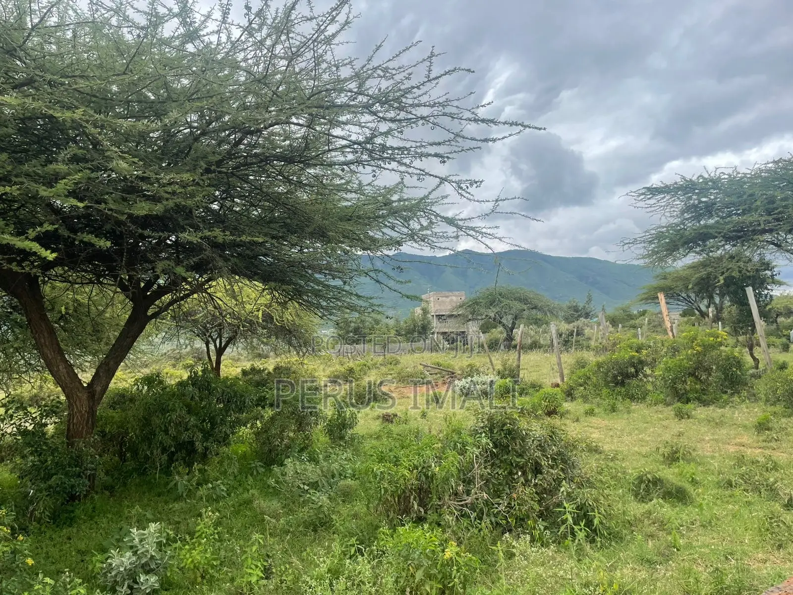 Amara Cresent in Ngong