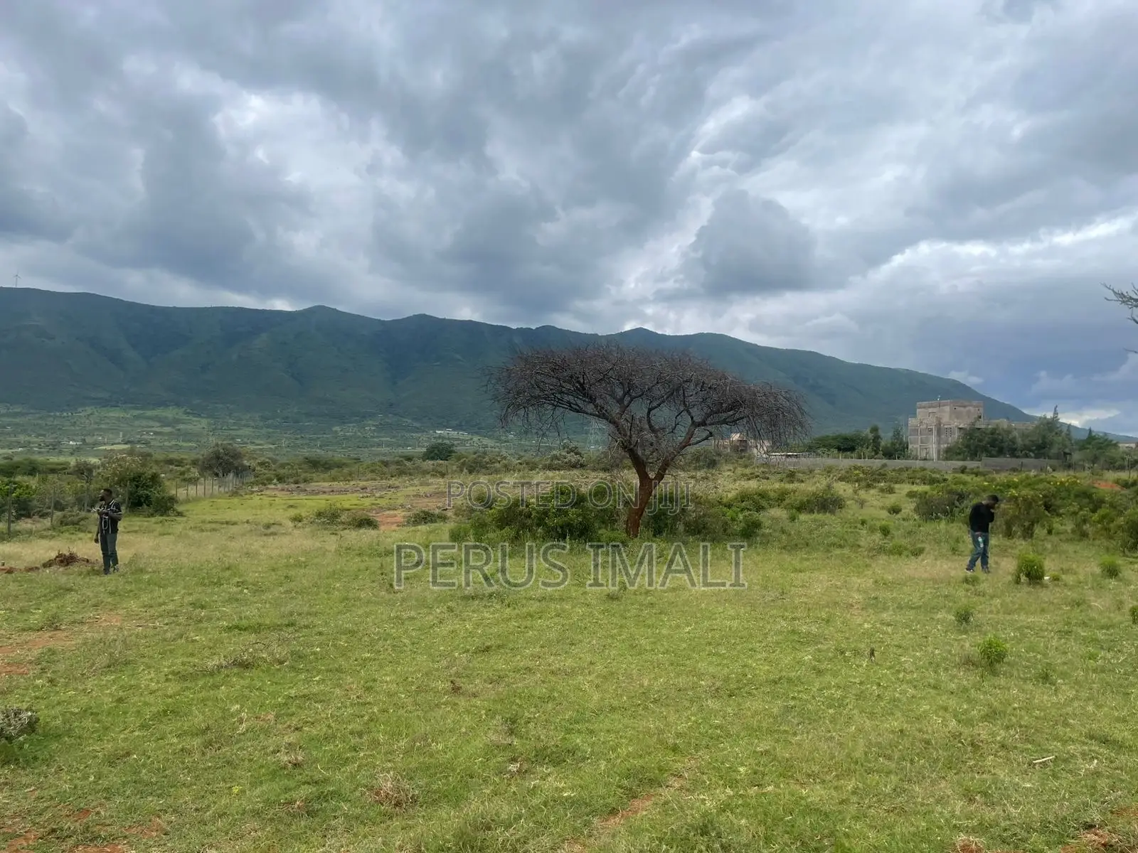 Amara Cresent in Ngong