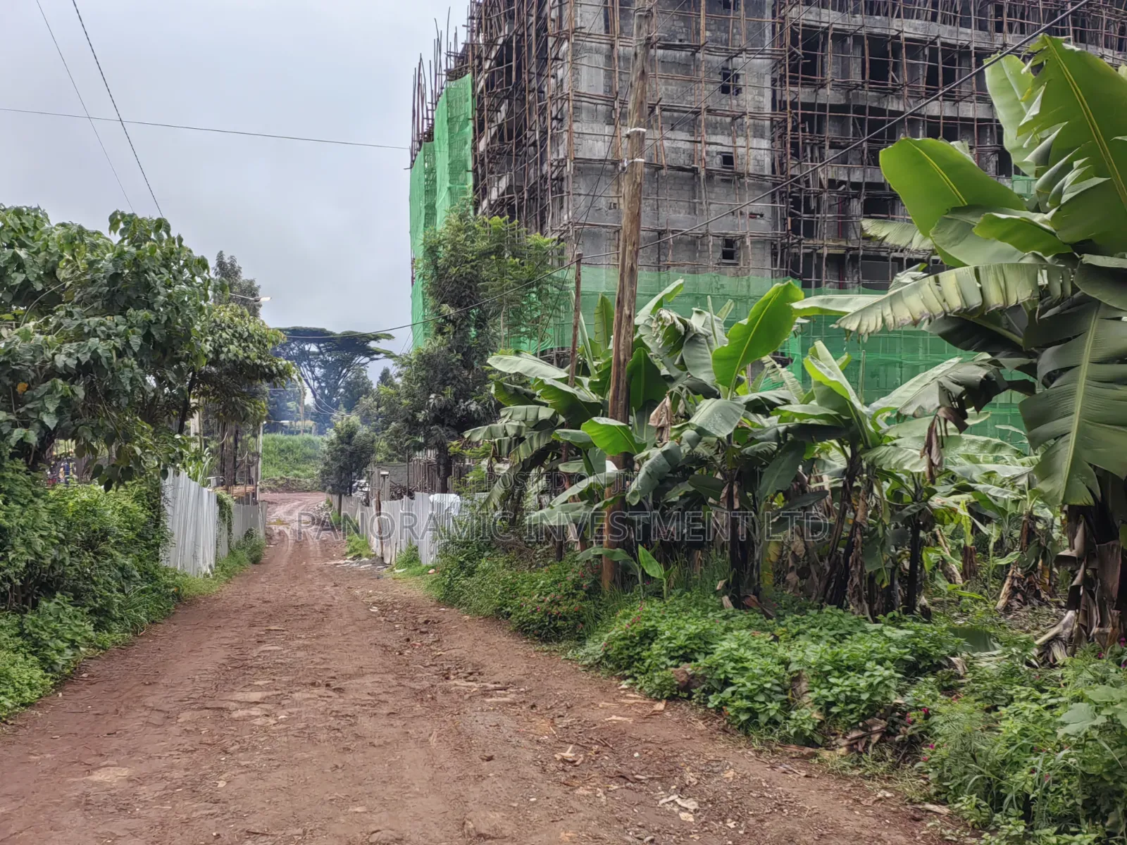 Half Acre For Sale In Kibichiko Mwimuto Kiambu County. in Kitisuru
