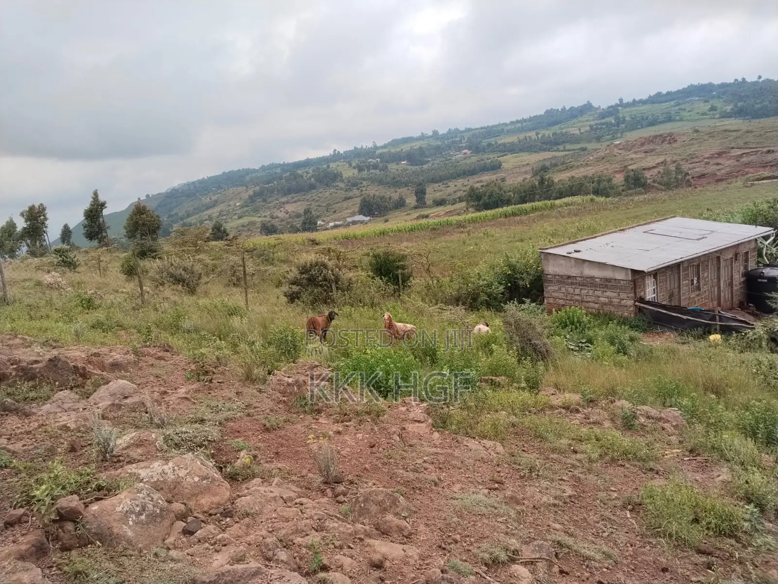Rwacumari Plots in Ndeiya