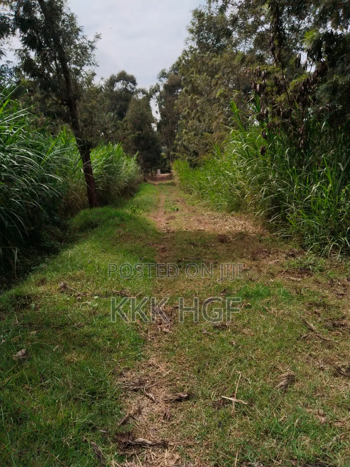 Rwacumari Plots in Ndeiya