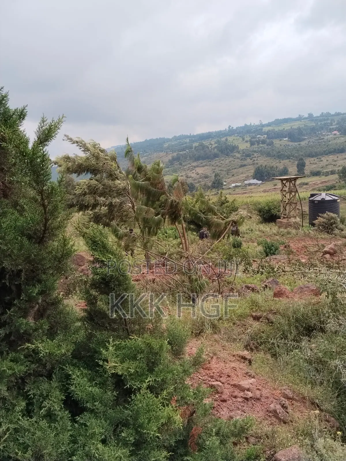 Ndeiya Plots Gated in Ndeiya