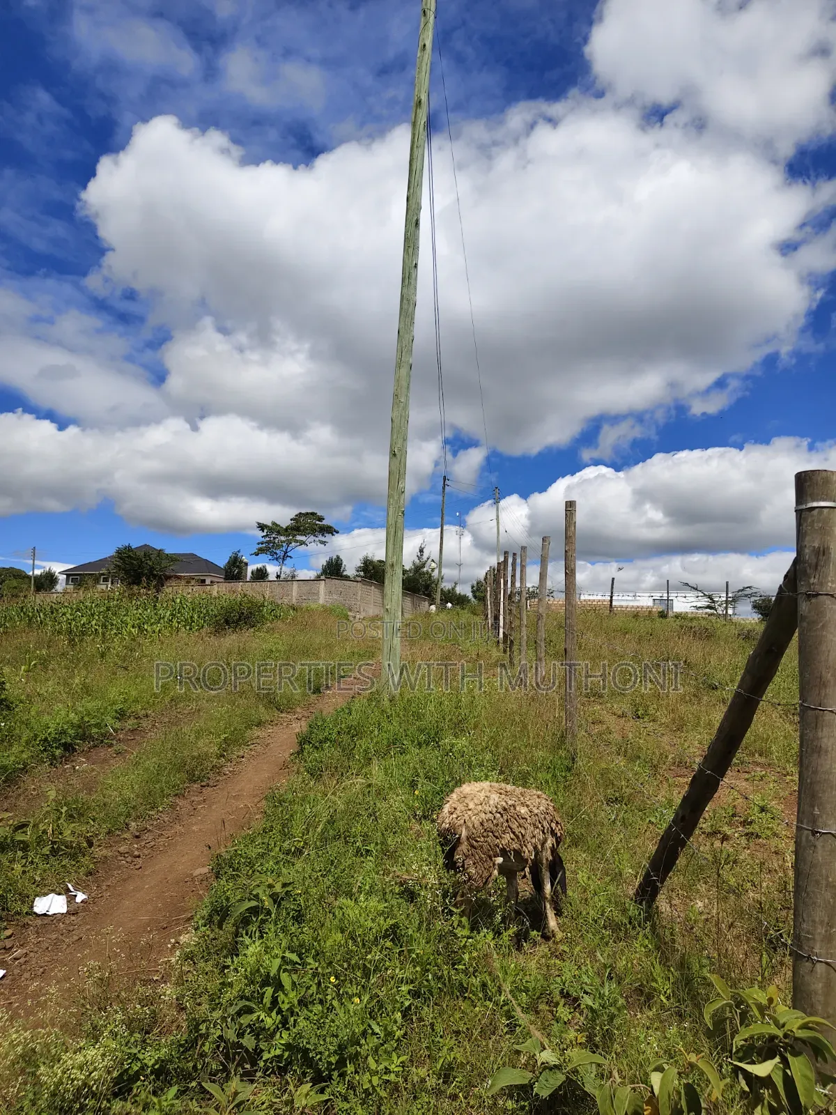 1/4 Acre Plot for Sale in Kiserian. in Kiserian