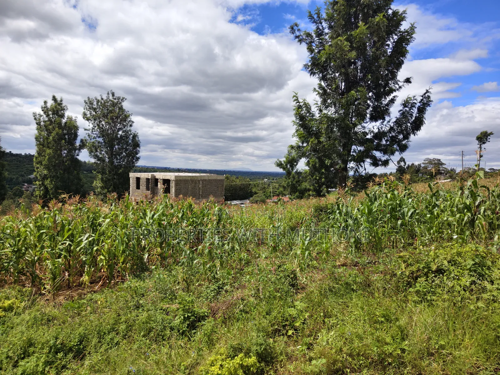 1/4 Acre Plot for Sale in Kiserian. in Kiserian