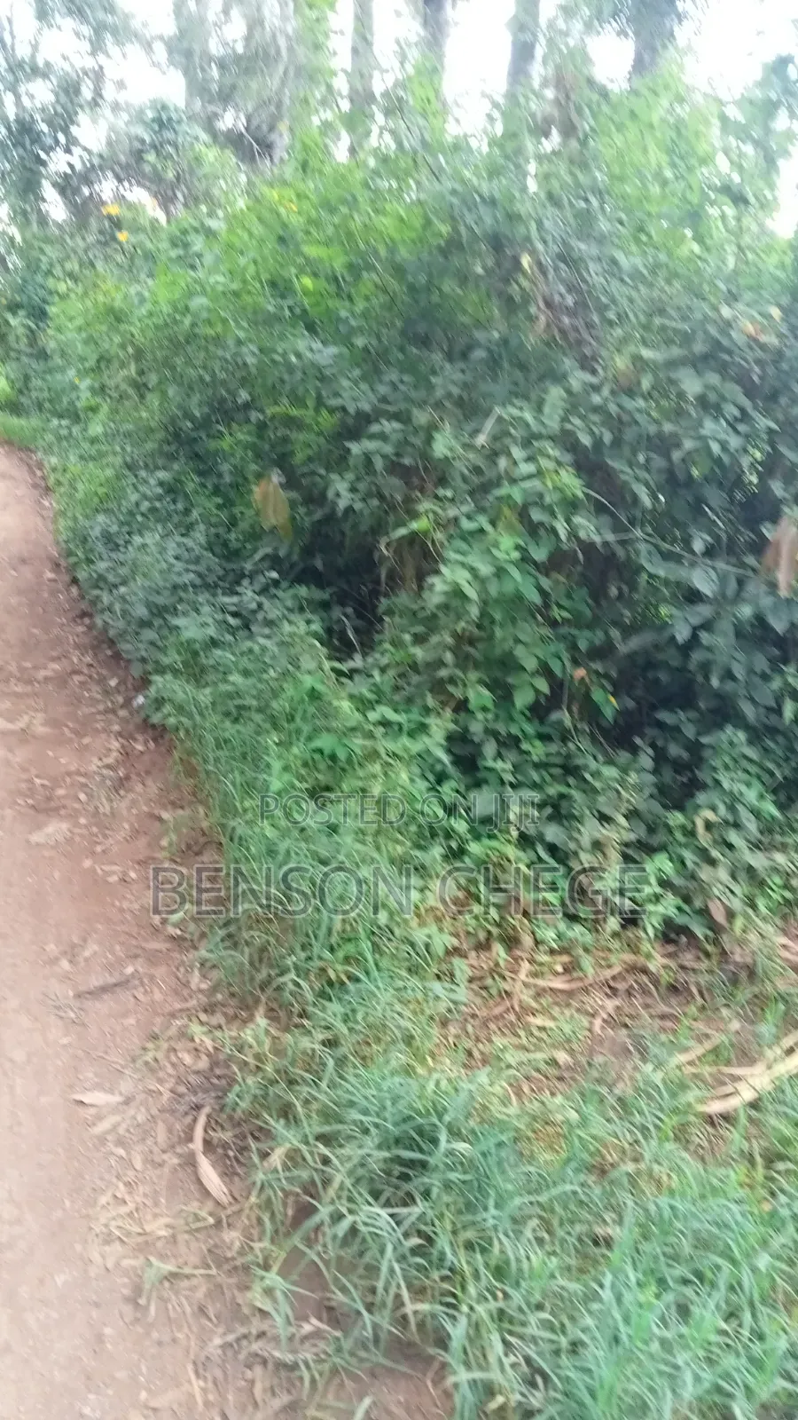 3acre Land for Sale Near Maragua Town in Ichagaki