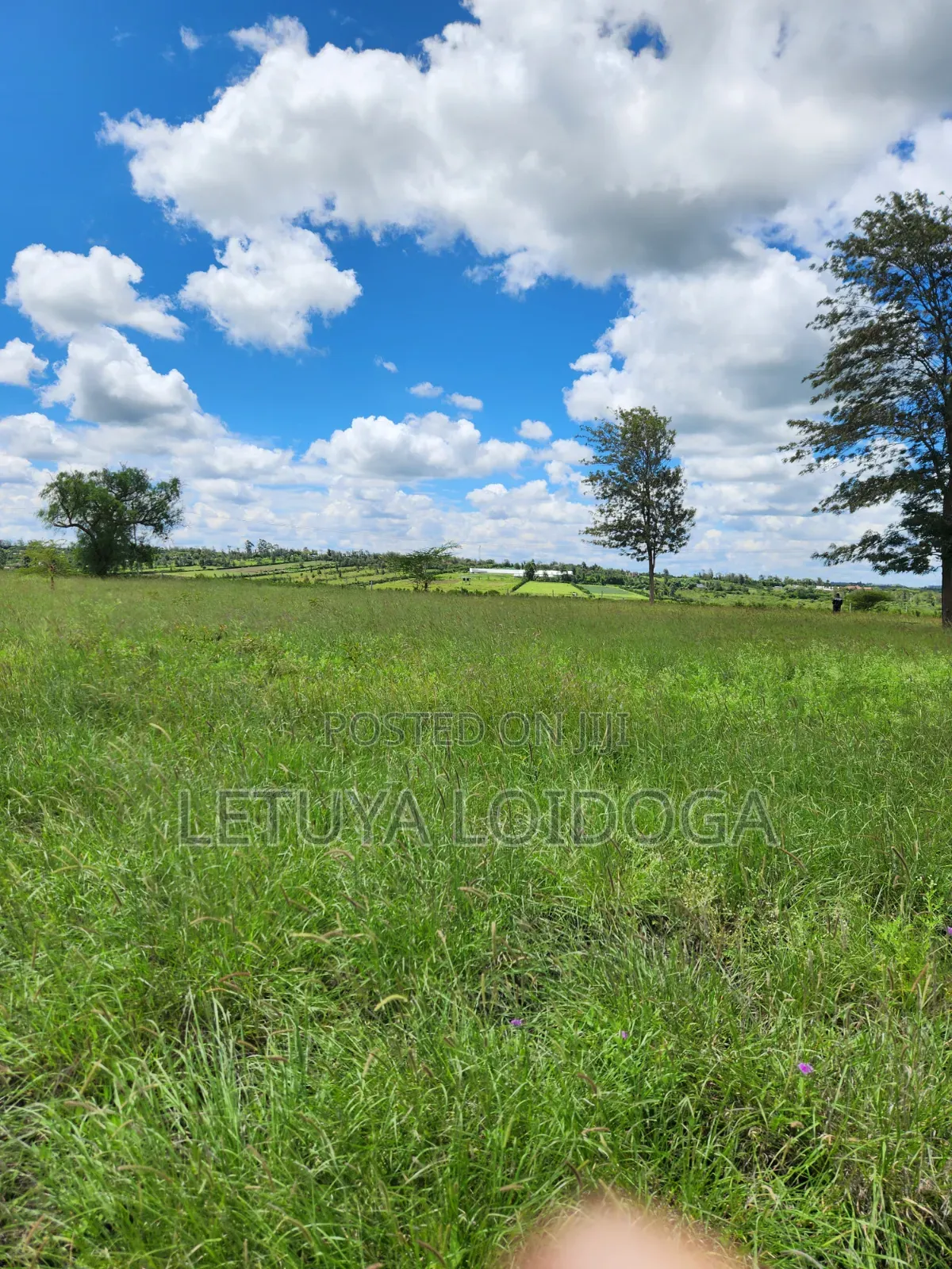15 Acres Oloirien (Kiserian-Isinya Road) in Kiserian