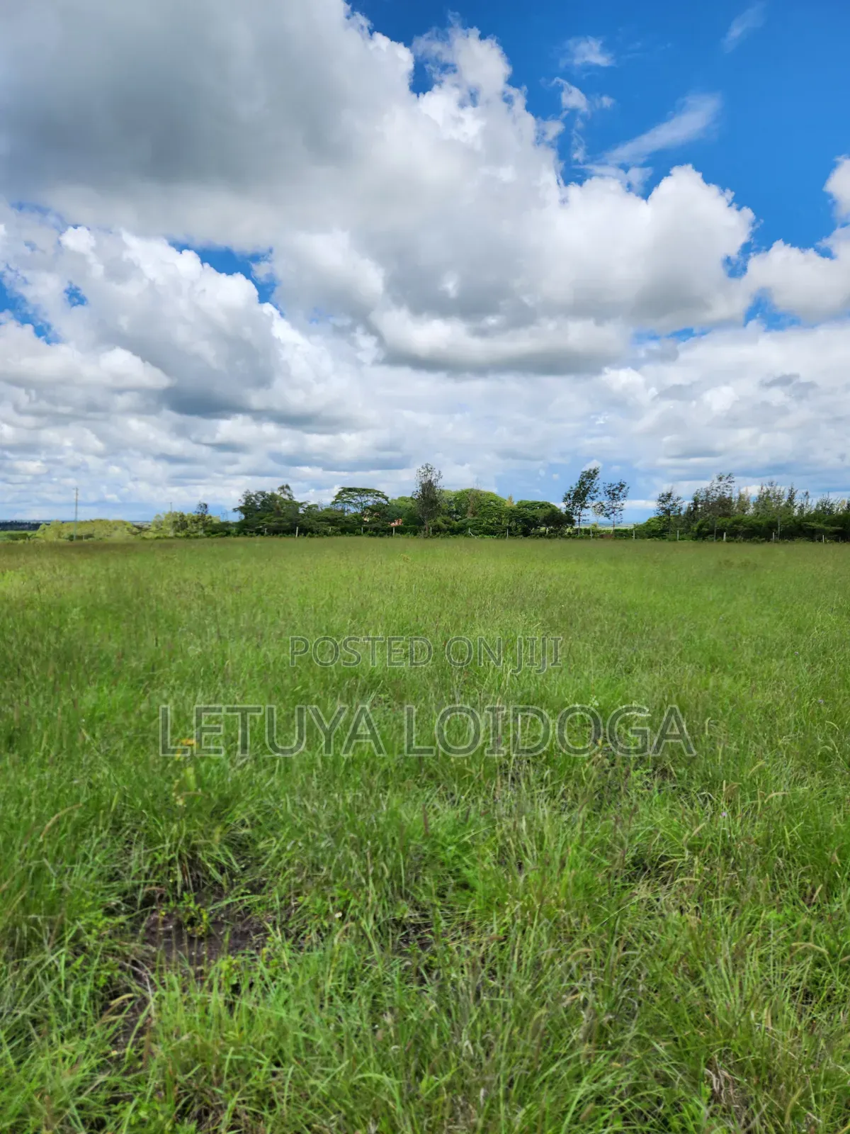 15 Acres Oloirien (Kiserian-Isinya Road) in Kiserian