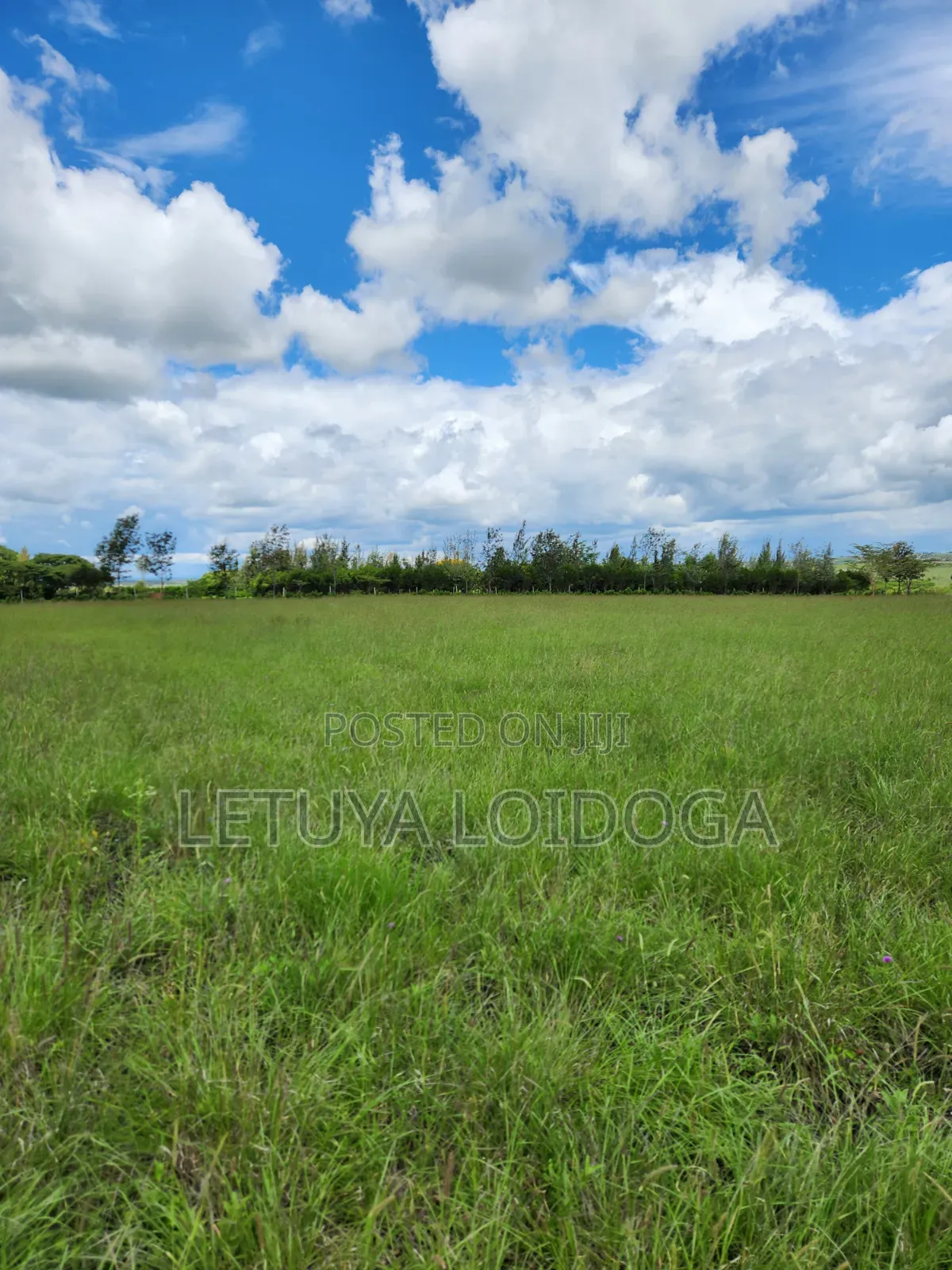 15 Acres Oloirien (Kiserian-Isinya Road) in Kiserian