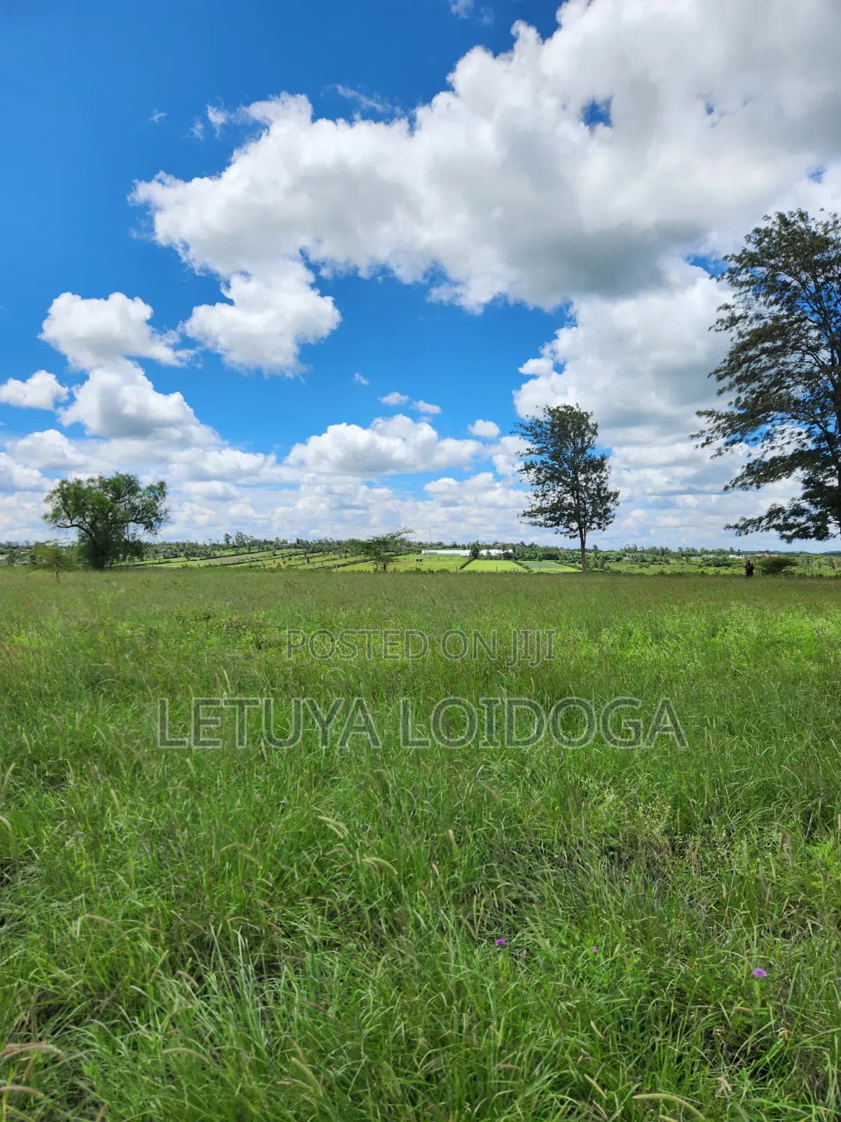 15 Acres Oloirien (Kiserian-Isinya Road) in Kiserian