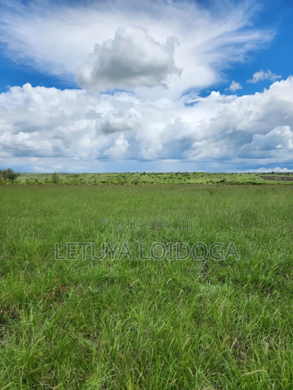 15 Acres Oloirien (Kiserian-Isinya Road) in Kiserian